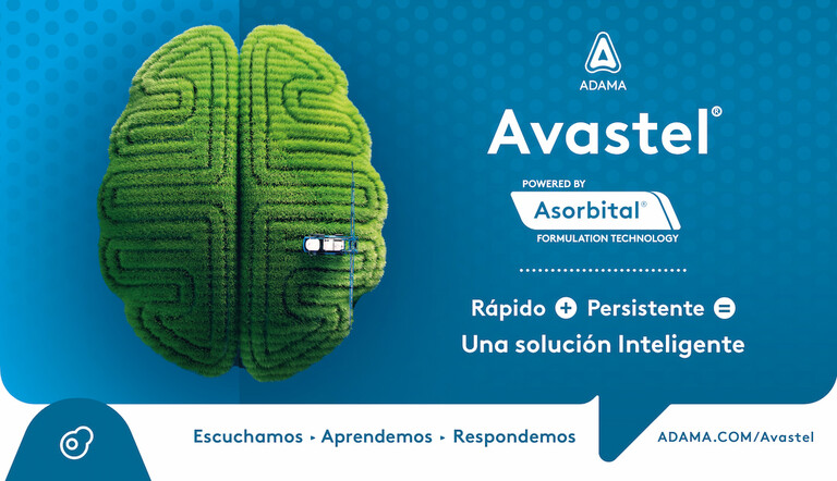 Lanzamiento Avastel