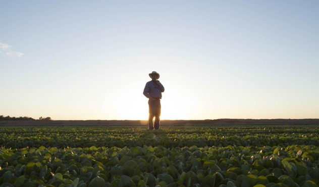 Agricultor en el campo