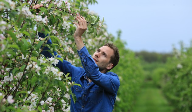 Agricultor 