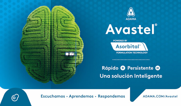 Lanzamiento Avastel