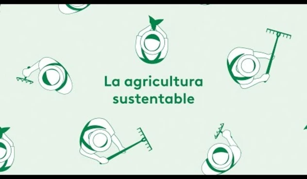 Agricultura Sostenibilidad