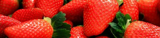 Fresas