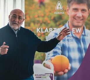 Dia K Alicante