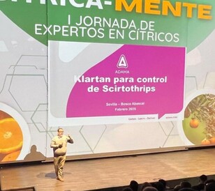 Dia K Sevilla