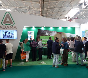 EXPOLIVA