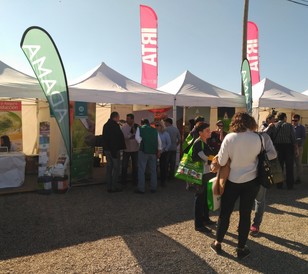 arpa de Adama en la jornada frutícola de Mollerussa.