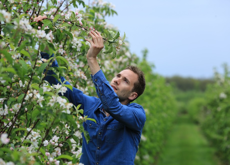 Agricultor 