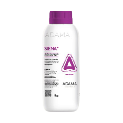 Siena Envase