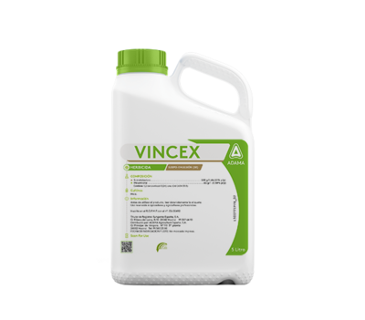 Vincez product