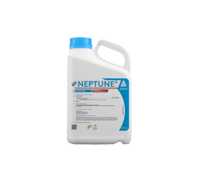 Garrafa Neptune