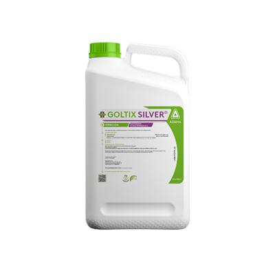 Garrafa Goltix Silver