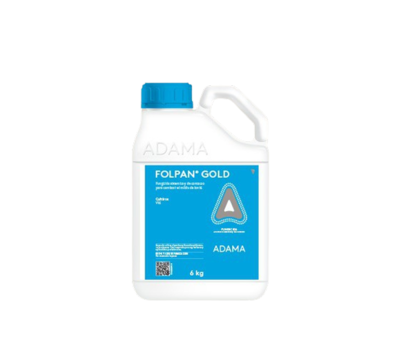 Folpan Gold