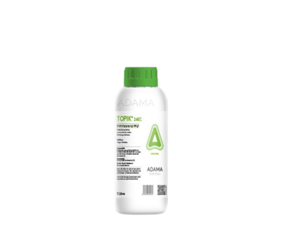 Topik 24 EC
