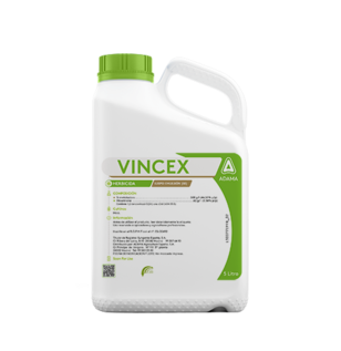 Vincez product