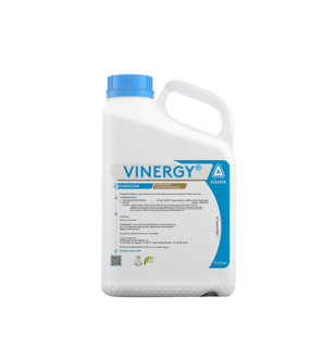 Garrafa_vinergy