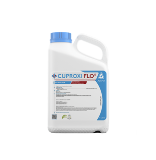 Garrafa Cuproxi flo