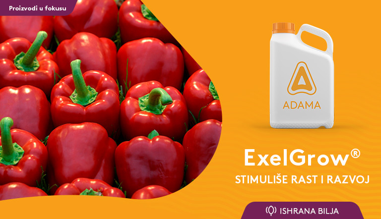 ExelGrow