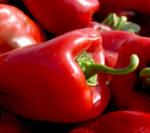 Crvena paprika