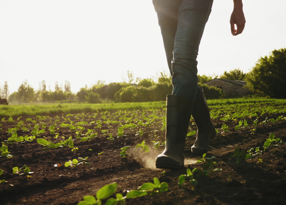 farmer hoda