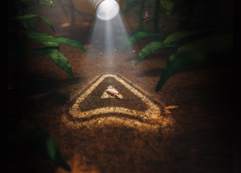 Katalog za 2026. godinu