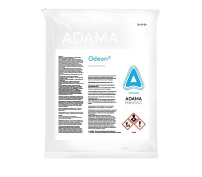 Odeon_slika