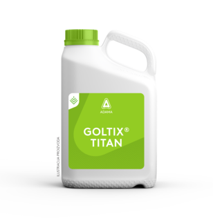 Goltix Titan