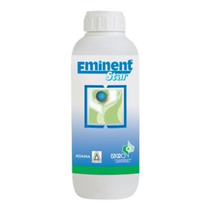 Eminent_Star_slika