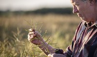 Farmer u uljanoj repici