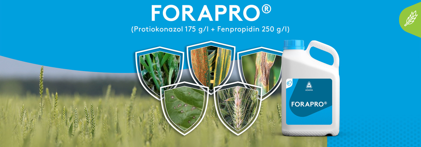 Forapro baner