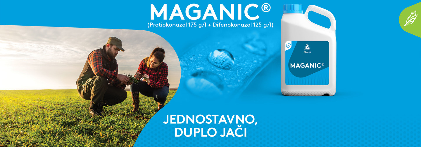 Maganic baner