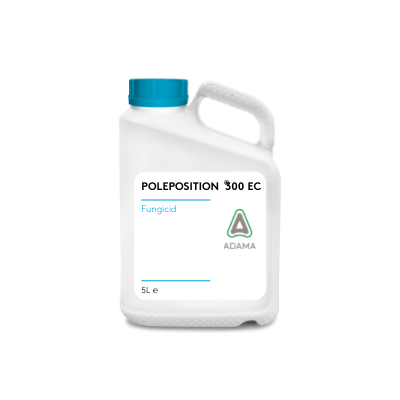 Poleposition 300 EC