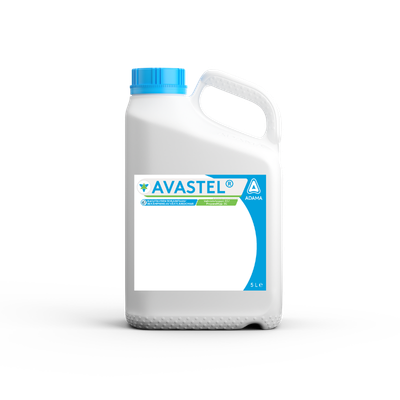 Avastel can