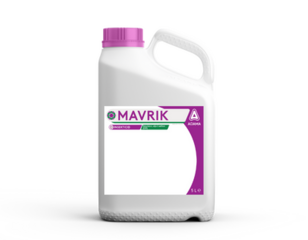 Mavrik_dunk_2023