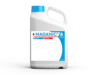 Maganic dunk 5L