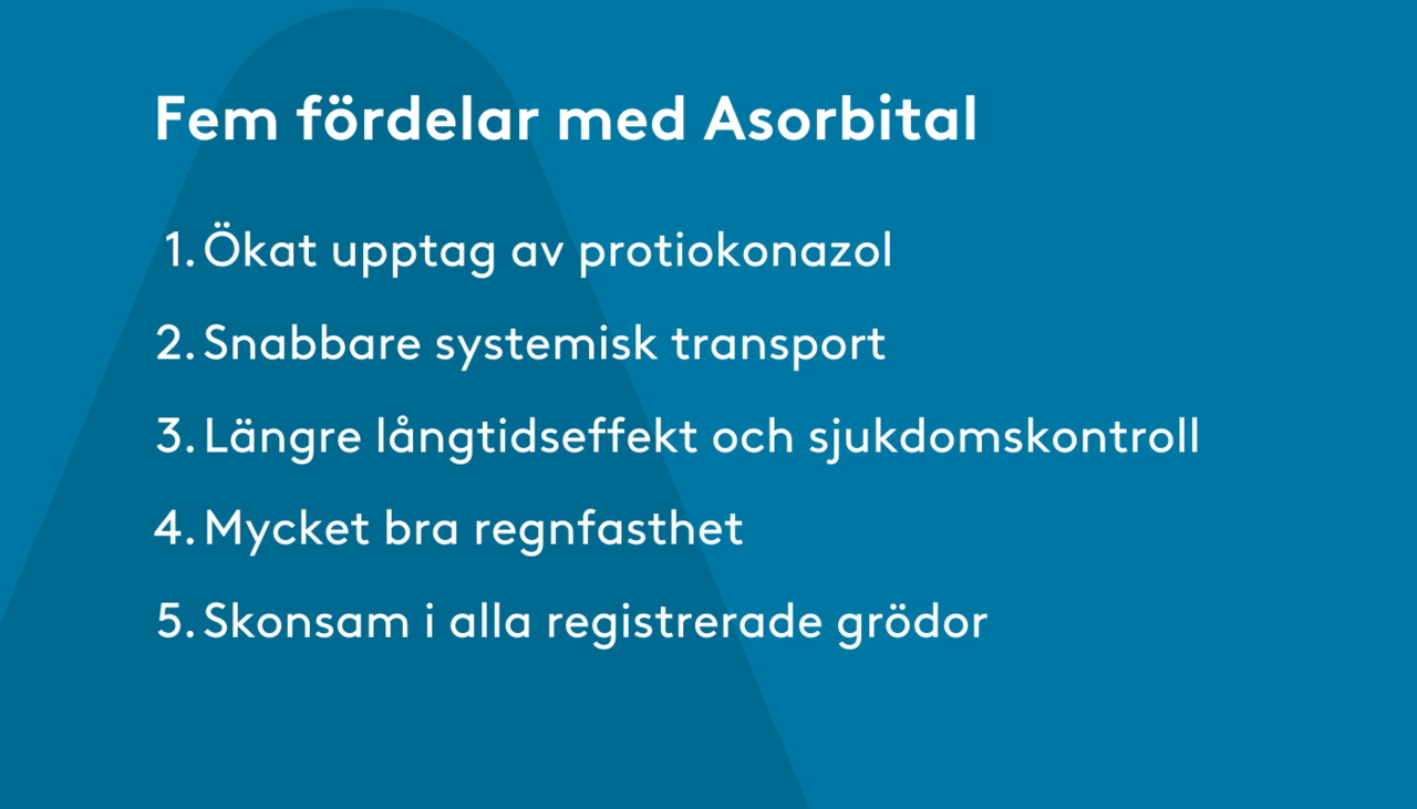 Fem fördelar med Asorbital