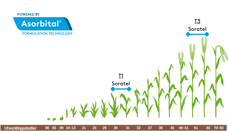 Soratel placering_T1_T2