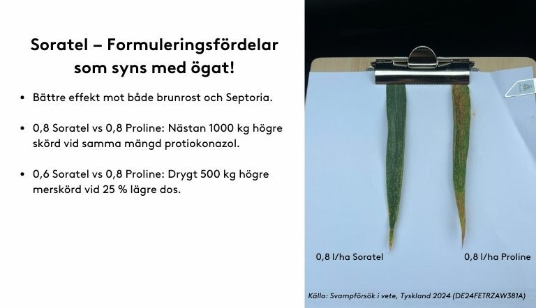 Soratel – Formuleringsfördelar som syns med ögat!