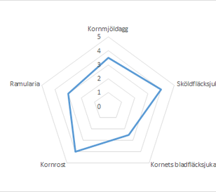 Effektschema_korn