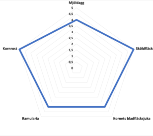 Effekter Avastel korn