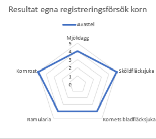 Avastel i korn BAD