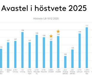 Avastel i höstraps. L9-8450 2025 - Medel 5 försök 