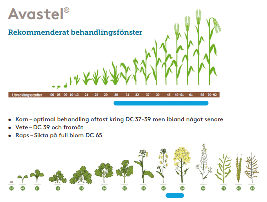 Rekommenderad behandling Avastel