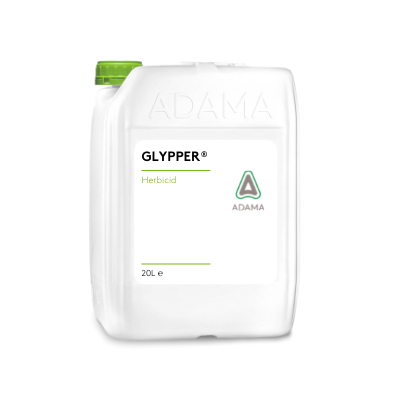 Dunk Glypper