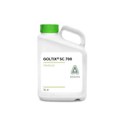Dunk Goltix SC 700