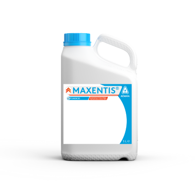 Maxentis 5 L dunk