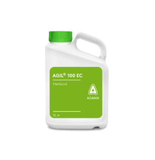 Agil dunk 5 L