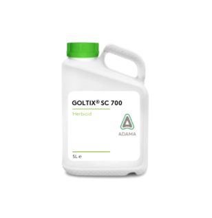 Dunk Goltix SC 700