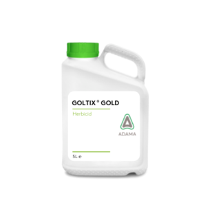 Goltix Gold hemsida