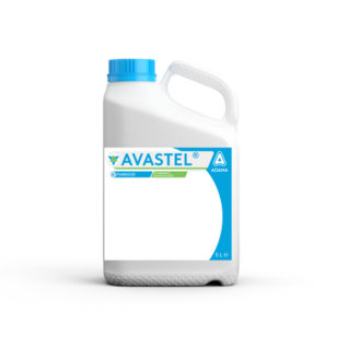 Avastel dunk 5 L