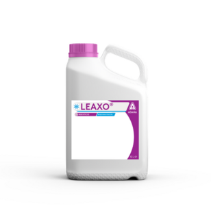 Leaxo can